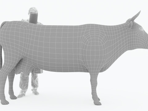 Veterinarian 4K 3D Модель