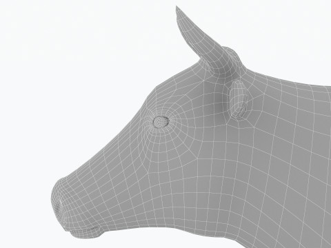 Veterinarian 4K 3D Модель