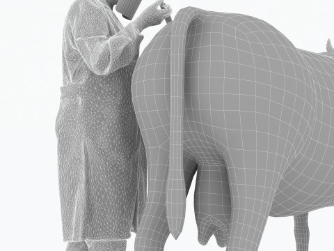 Veterinarian 4K 3D Модель