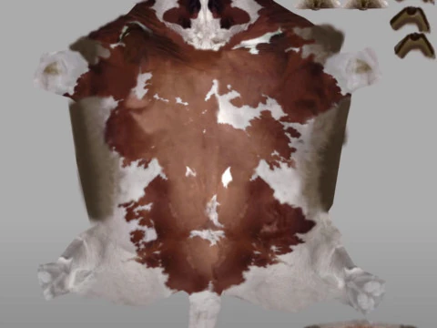 veterinario 4k Modelo 3D