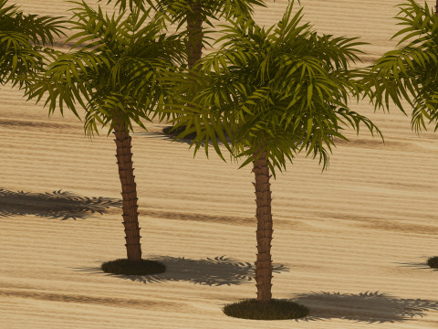 Beach Bar 2 - 4K Modèle 3D