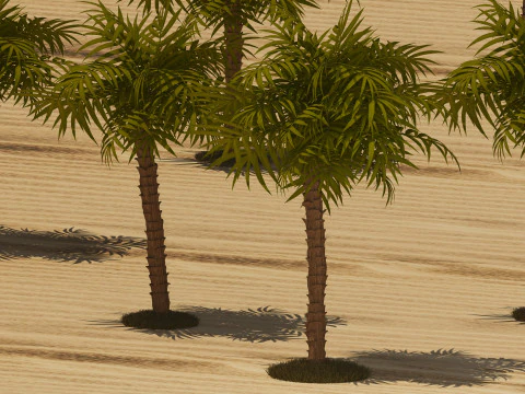 Beach Bar 2 3D Model