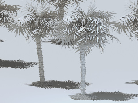 Beach Bar 2 - 4K Modèle 3D