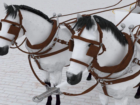 Royal Carriage 2 3D Model