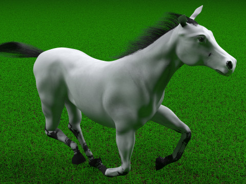White Carriage 4K Model 3D