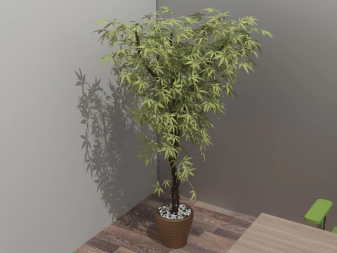 Boss Office 4K 3D Model
