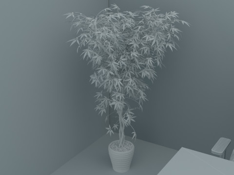 Boss Office 4K Modelo 3D