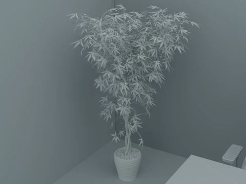 Boss Office 4K 3D Model