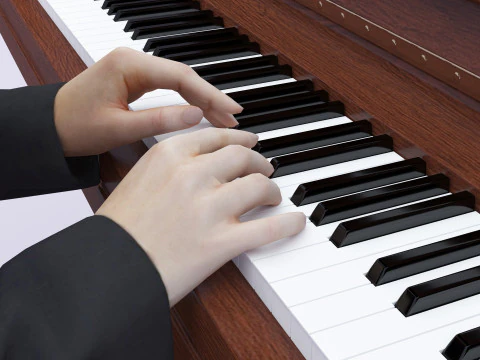 Young Pianist 3D Model