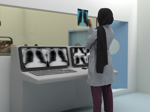 放射线照片 4K 3D 模型