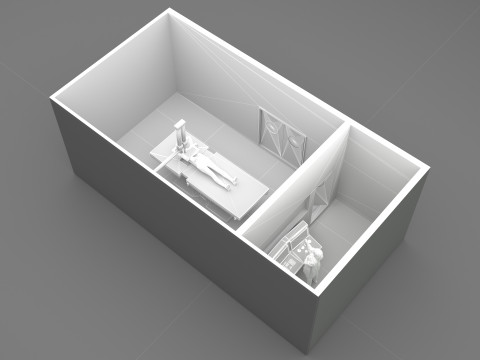 放射线照片 4K 3D 模型