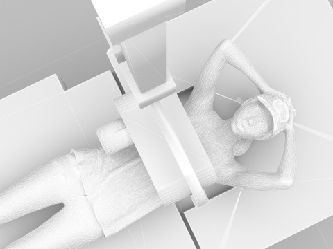 放射线照片 4K 3D 模型