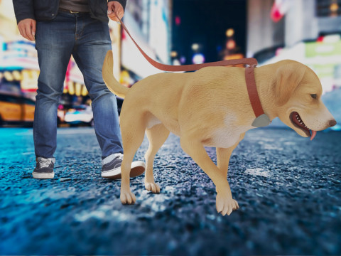 Mit Mate spazieren gehen 3D Modell