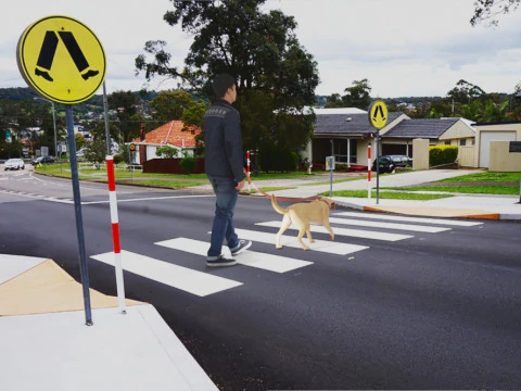 Walking with Mate 3D Model