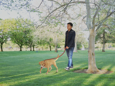 Mit Mate spazieren gehen 3D Modell