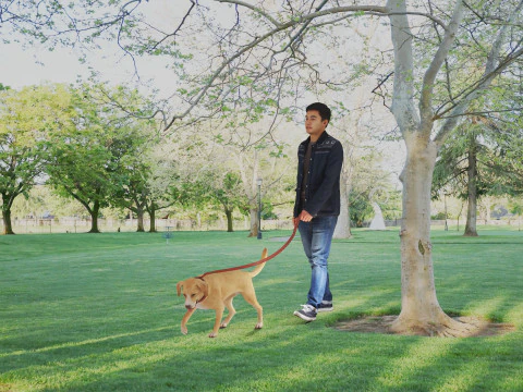 Walking with Mate 3D Model