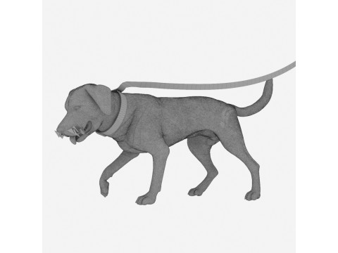 Mit Mate spazieren gehen 3D Modell