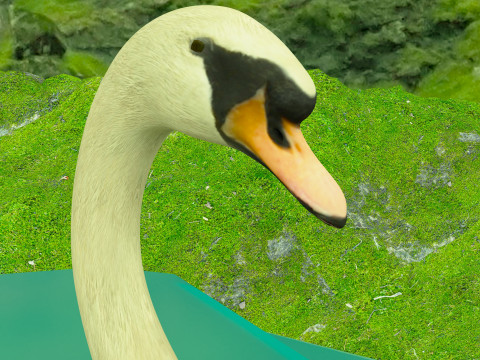 In riva al lago Modello 3D