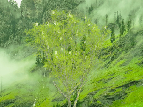 In riva al lago Modello 3D