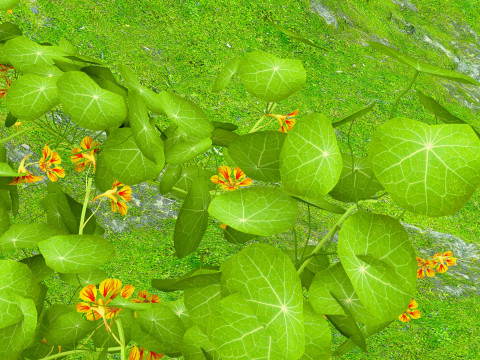 In riva al lago Modello 3D