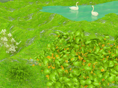 Lakeside 3D Model