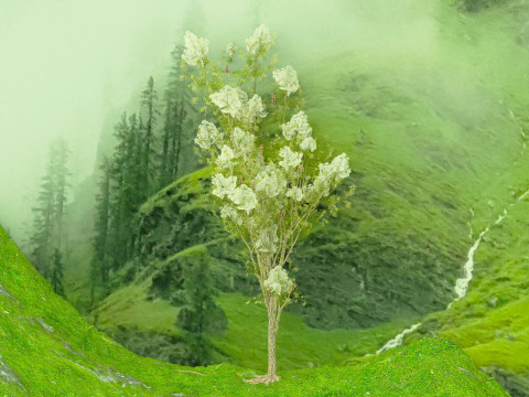 In riva al lago Modello 3D