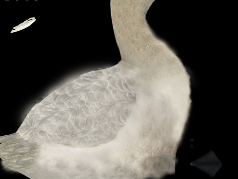 In riva al lago Modello 3D