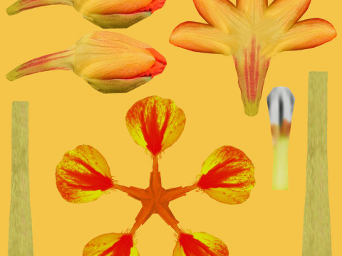 In riva al lago Modello 3D