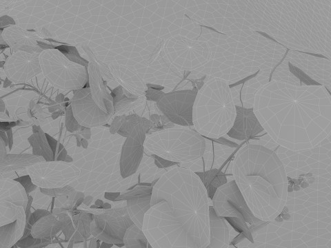 In riva al lago Modello 3D