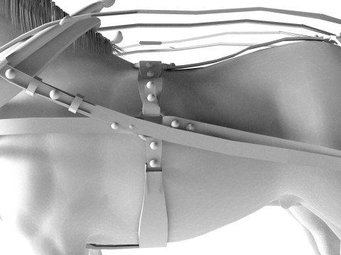 Vagão puxado por cavalos 4K Modelo 3D