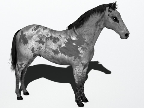 Cavalo Mustang Modelo 3D