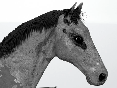 Mustang Horse 3D Model