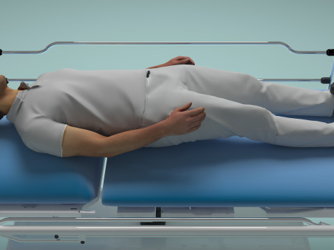 緊急援助 3Dモデル