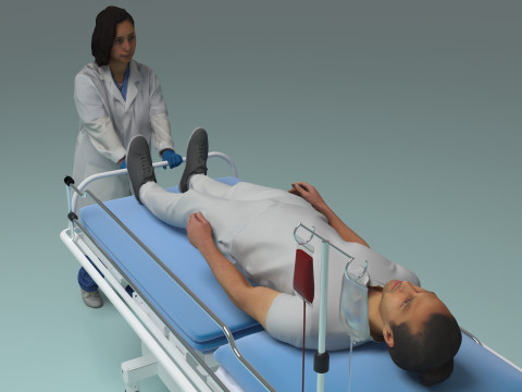 緊急援助 3Dモデル