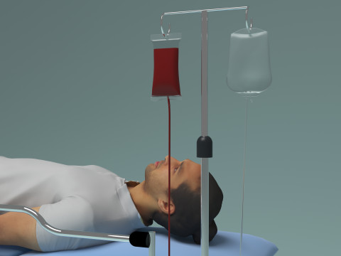 緊急援助 3Dモデル