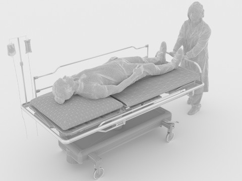 緊急援助 3Dモデル