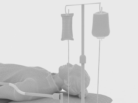 緊急援助 3Dモデル