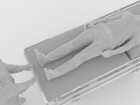 緊急援助 3Dモデル