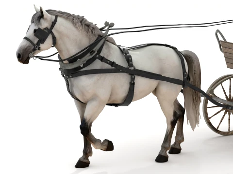 Fiacre 3D Model