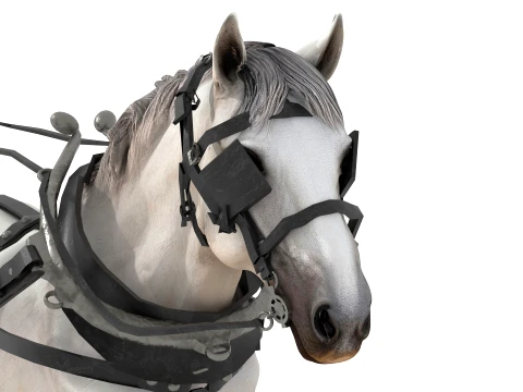 Fiacre 3D Model