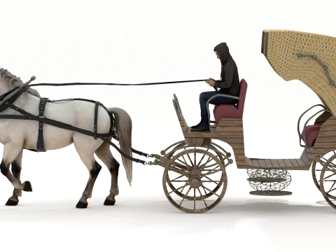 Fiacre 3D Model