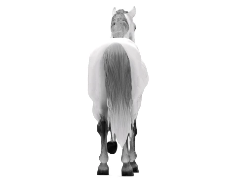 Arabian Horse 3D Model