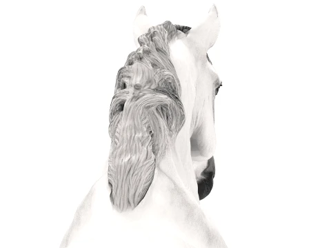 Arabian Horse 3D Model