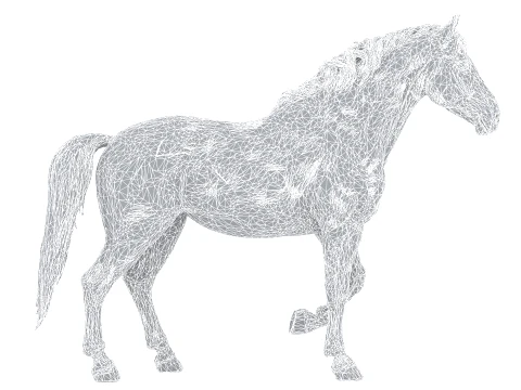 Arabian Horse 3D Model