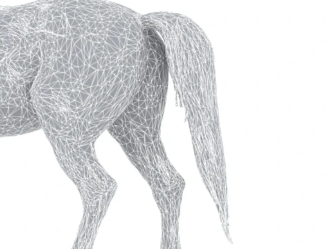 Arabian Horse 3D Model