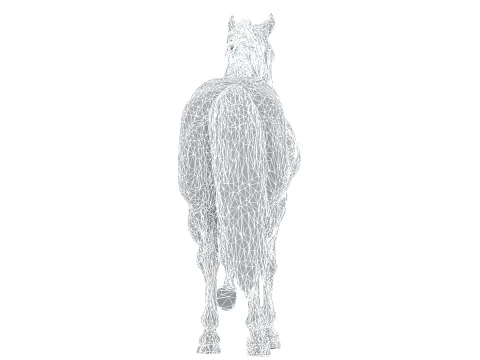 Arabian Horse 3D Model