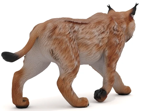 Lynx 3D Model
