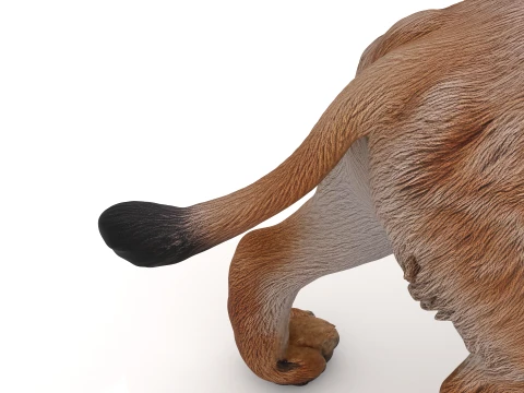 Lynx 3D Model