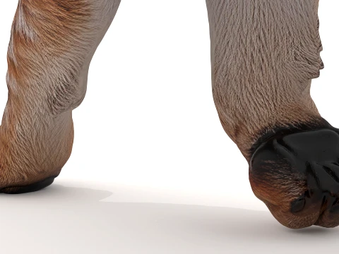 Lynx 3D Model