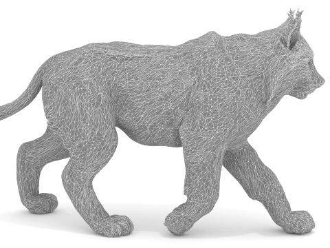 Lynx 3D Model